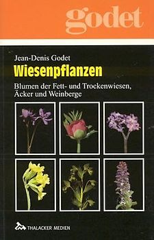 Wiesenpflanzen. Blumen der Fett- und Trockenwiesen, Äcker und Weinberge