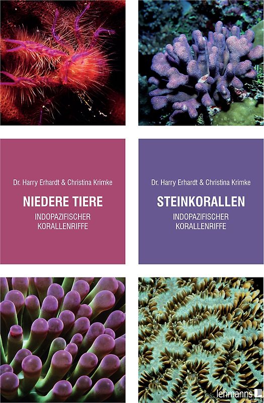 Steinkorallen/Niedere Tiere indopazifischer Korallenriffe