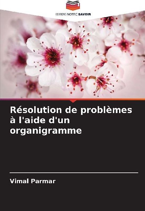 Résolution de problèmes à l'aide d'un organigramme