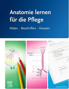 Anatomie lernen für die Pflege