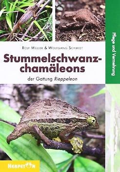 Stummelschwanzchamäleons