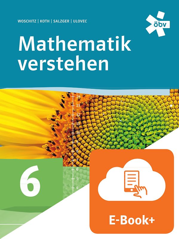 Mathematik verstehen 6, Schulbuch mit E-BOOK+