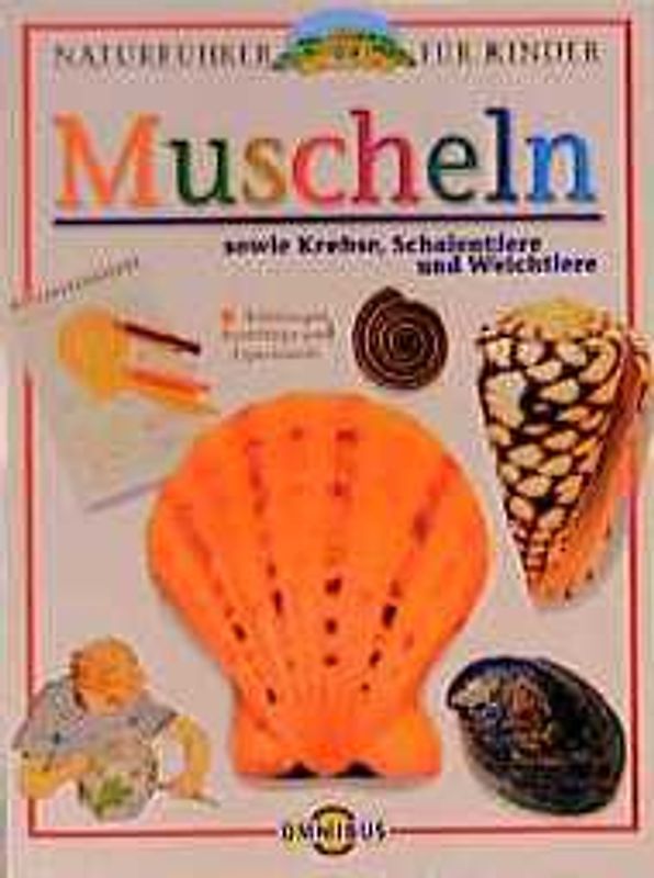 Muscheln