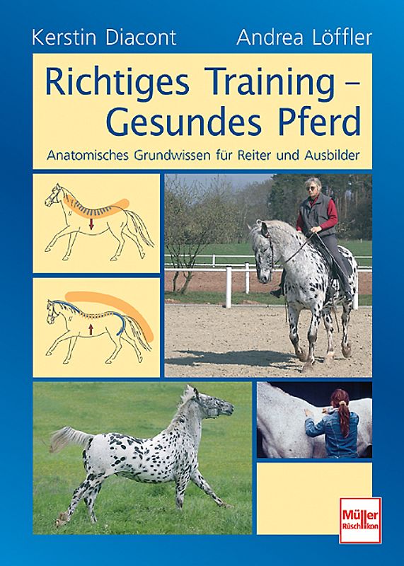 Richtiges Training - Gesundes Pferd