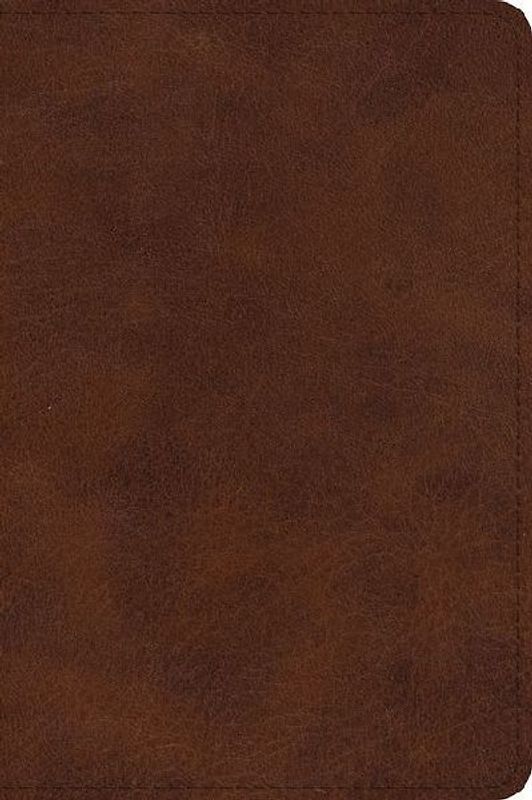 ESV Large Print Bible (Trutone, Deep Brown)