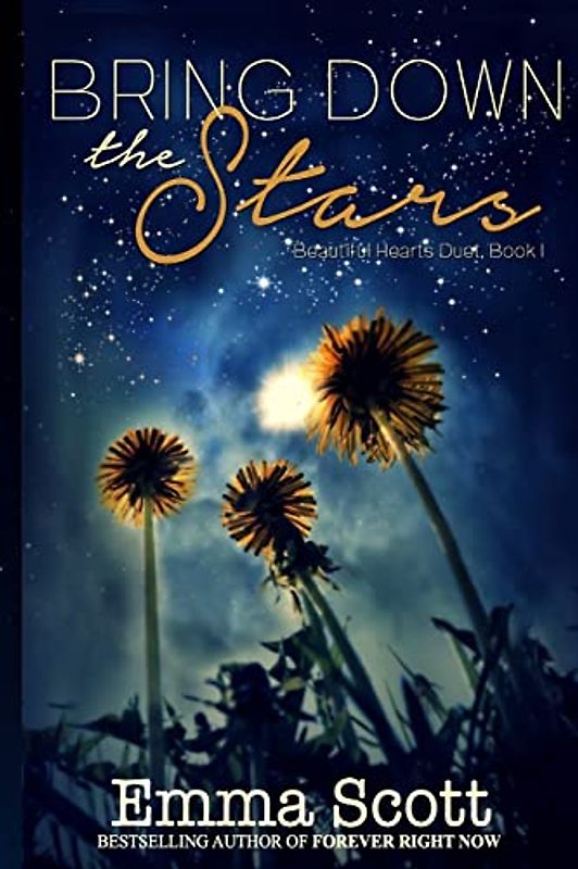 Bring Down the Stars (Beautiful Hearts Duet, Band 1)