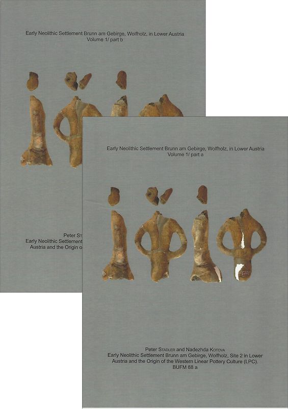 Early Neolithic Settlement Brunn am Gebirge, Wolfholz, in Lower Austria Volume 1 / part a and b