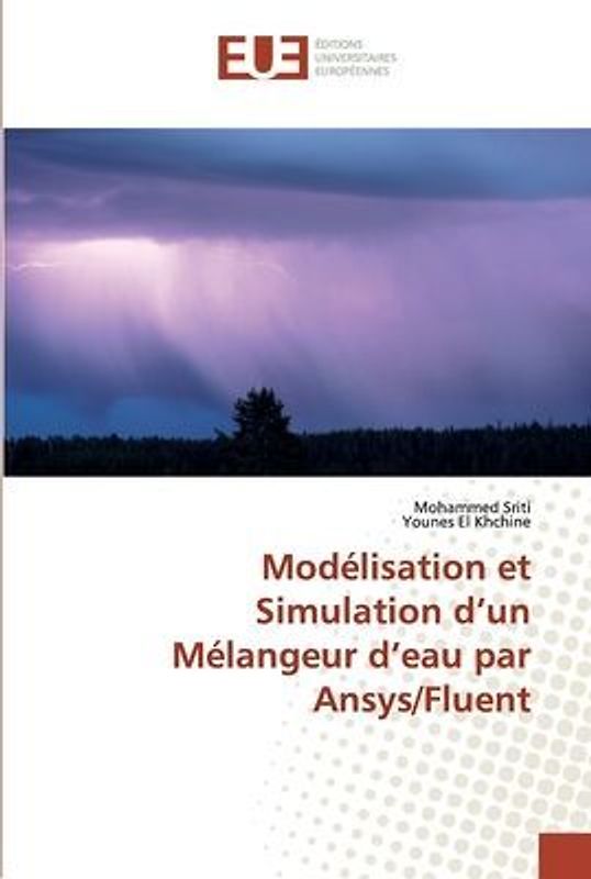 Modélisation et Simulation d'un Mélangeur d'eau par Ansys/Fluent