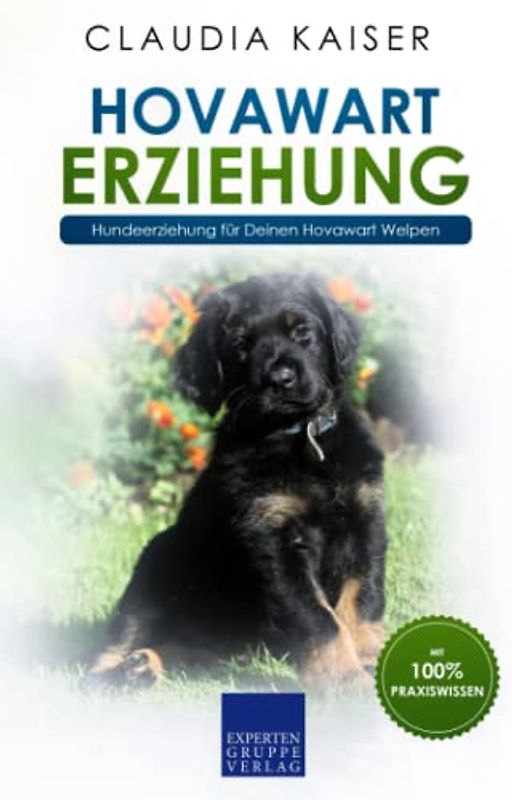 Hovawart Erziehung: Hundeerziehung für Deinen Hovawart Welpen