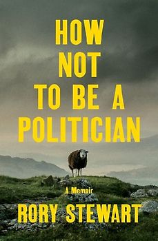 How Not to Be a Politician