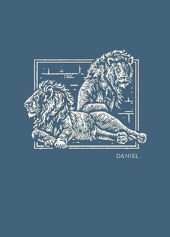 NET Abide Bible Journal - Daniel, Paperback, Comfort Print | Softcover