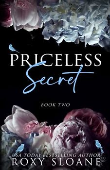 Priceless Secret: An Enemies to Lovers Age-Gap Romance
