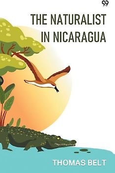 The Naturalist In Nicaragua