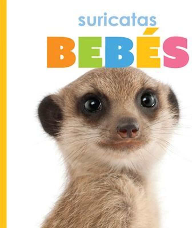 Suricatas Bebés