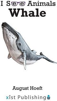 Whale