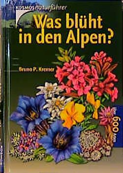 Was blüht in den Alpen?