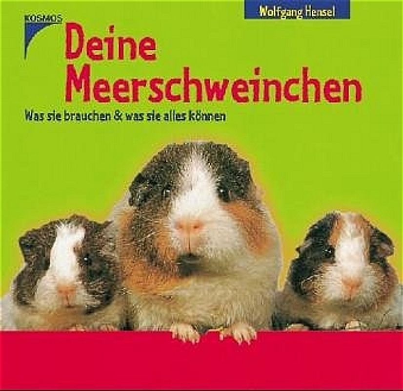 Deine Meerschweinchen