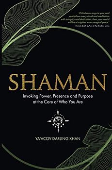 Shaman: Invoking Power, Presence and Purpose at the Core of Who You Are