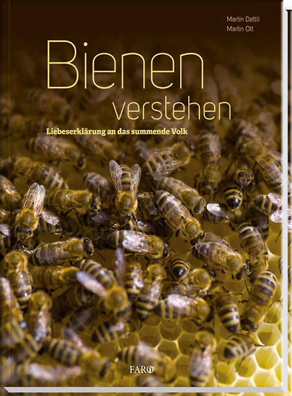 Bienen verstehen