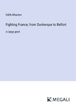 Fighting France; from Dunkerque to Belfort