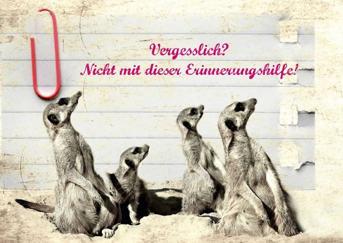 Vergesslich? Nicht mit dieser Erinnerungshilfe! (Posterbuch DIN A2 quer)