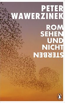 Rom sehen und nicht sterben