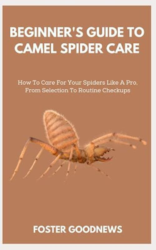 BEGINNER'S GUIDE TO CAMEL SPIDER CARE: How To Care For Your Spiders Like A Pro, From Selection To Routine Checkups
