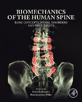 Biomechanics of the Human Spine