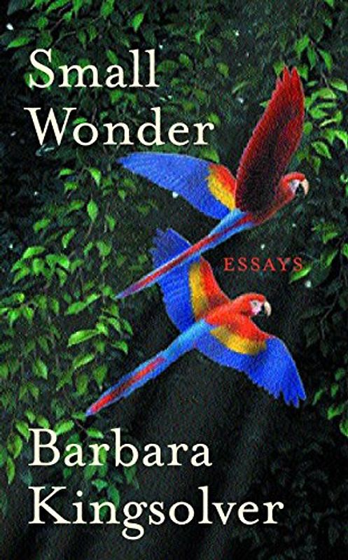 Small Wonder - Kingsolver, Barbara