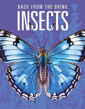 Insects: Back from the Brink