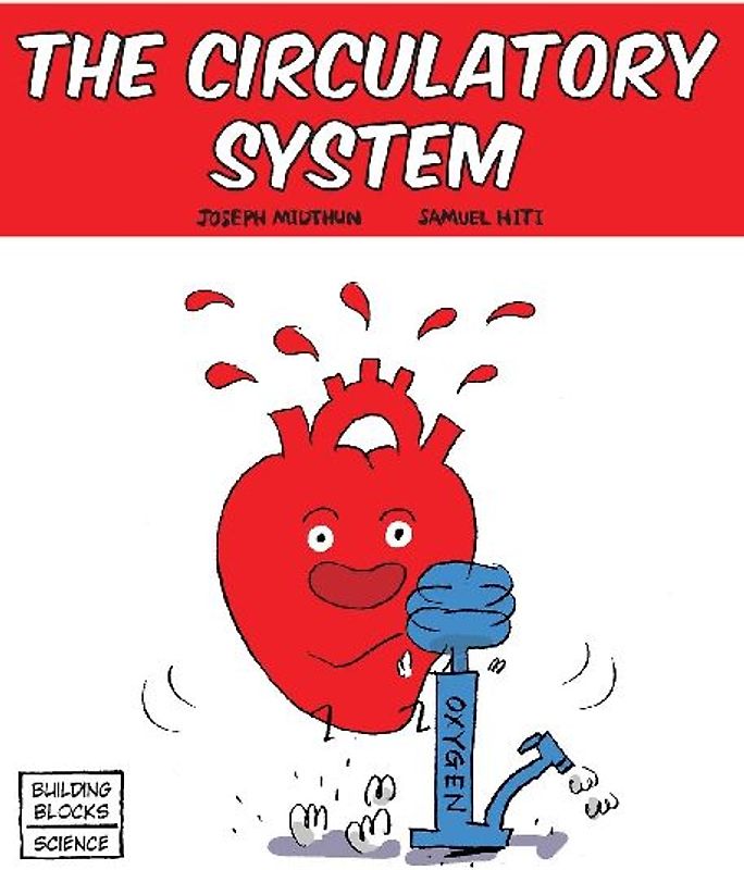 The Circulatory System