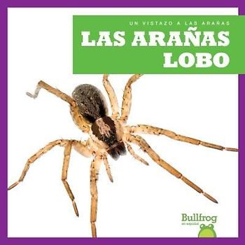 Las Arañas Lobo (Wolf Spiders)
