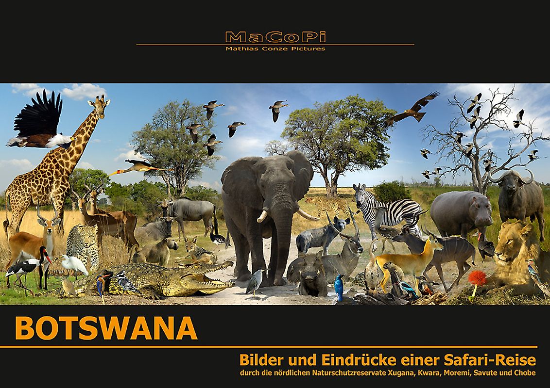Botswana - Bilder und Eindrücke einer Safari-Reise
