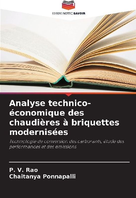 Analyse technico-économique des chaudières à briquettes modernisées