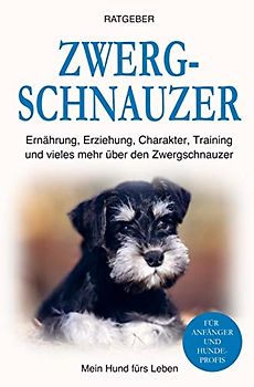 Zwergschnauzer: Training, Ernährung, Erziehung, Charakter und einiges mehr über den Zwergschnauzer
