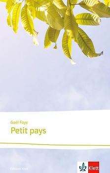 Petit pays