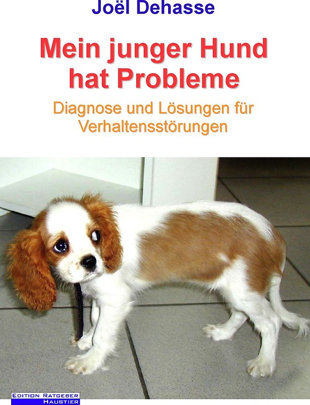 Mein junger Hund hat Probleme