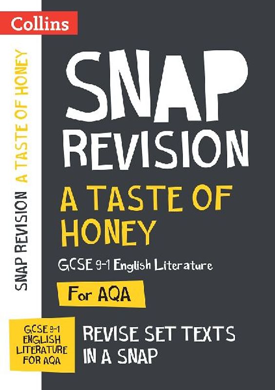 Taste of Honey Aqa GCSE 9-1 English Literature Text Guide