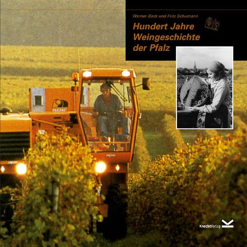 Hundert Jahre Weingeschichte der Pfalz