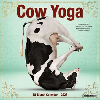 Cow Yoga 2026 7 X 7 Mini Wall Calendar