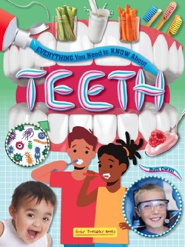 Everything you Need to Know About Teeth