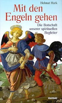 Mit den Engeln gehen - Die Botschaft unserer spirituellen Begleiter - Helmut Hark [Gebundene Ausgabe, Weltbild]
