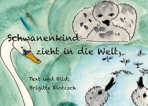 Schwanenkind zieht in die Welt