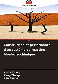 Construction et performance d'un système de réaction bioélectrochimique