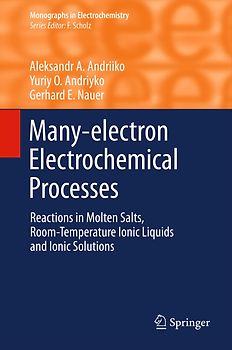 Many-electron Electrochemical Processes