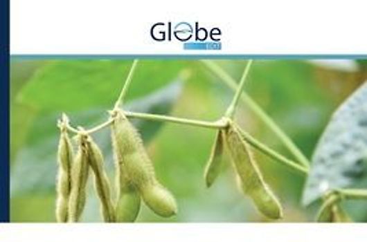 Rainfall variability and risks of droughts during soybean cultivation