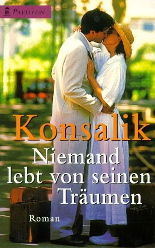 Niemand lebt von seinen Träumen. Roman