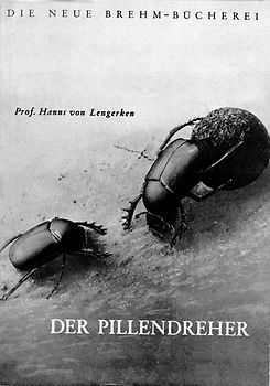 Der Pillendreher