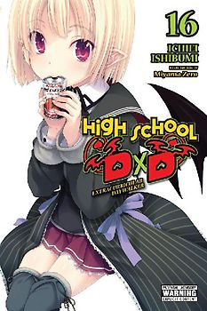 High School DXD, Vol. 16 (Light Novel)