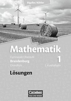 Bigalke/Köhler: Mathematik - Brandenburg - Bisherige Ausgabe / Band 1: 2. Kurshalbjahr/Grundkurs - Qualifikationsphase - Lösungen zum Schülerbuch